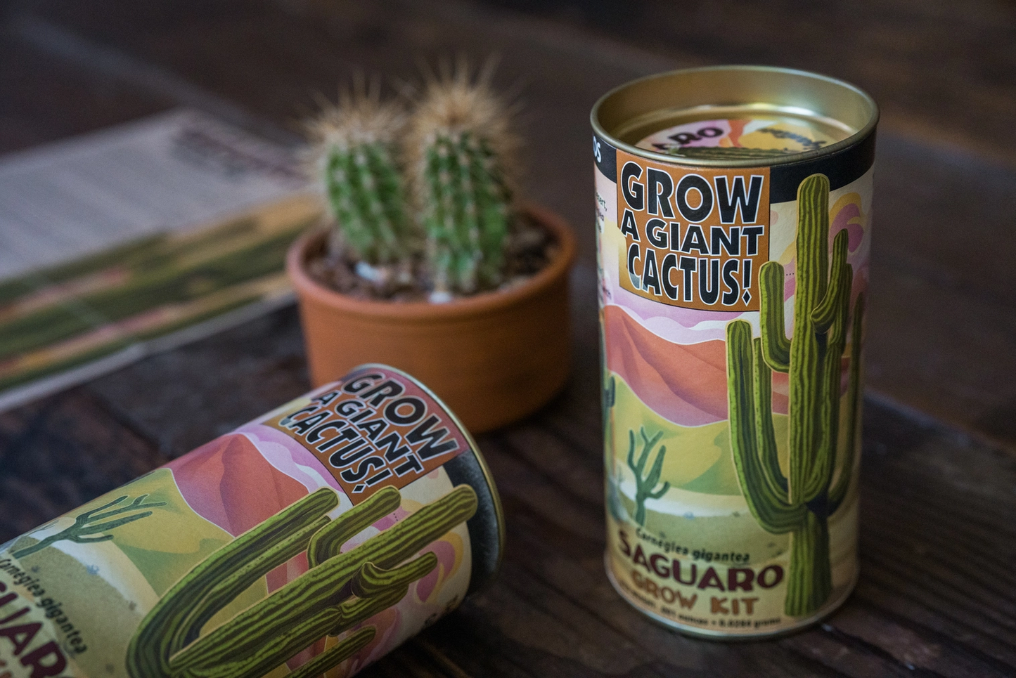planting saguaro seeds Saguaro Cactus Seed Grow Kit – Weeds