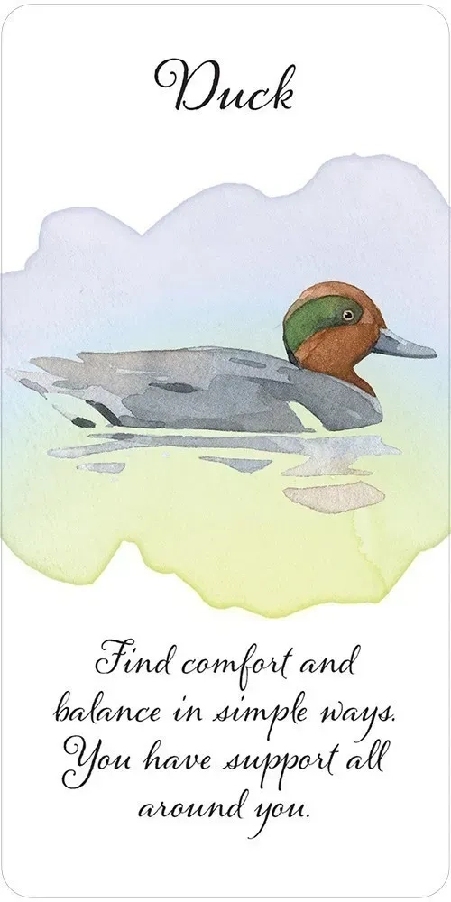 Divine Feather Messenger Cards