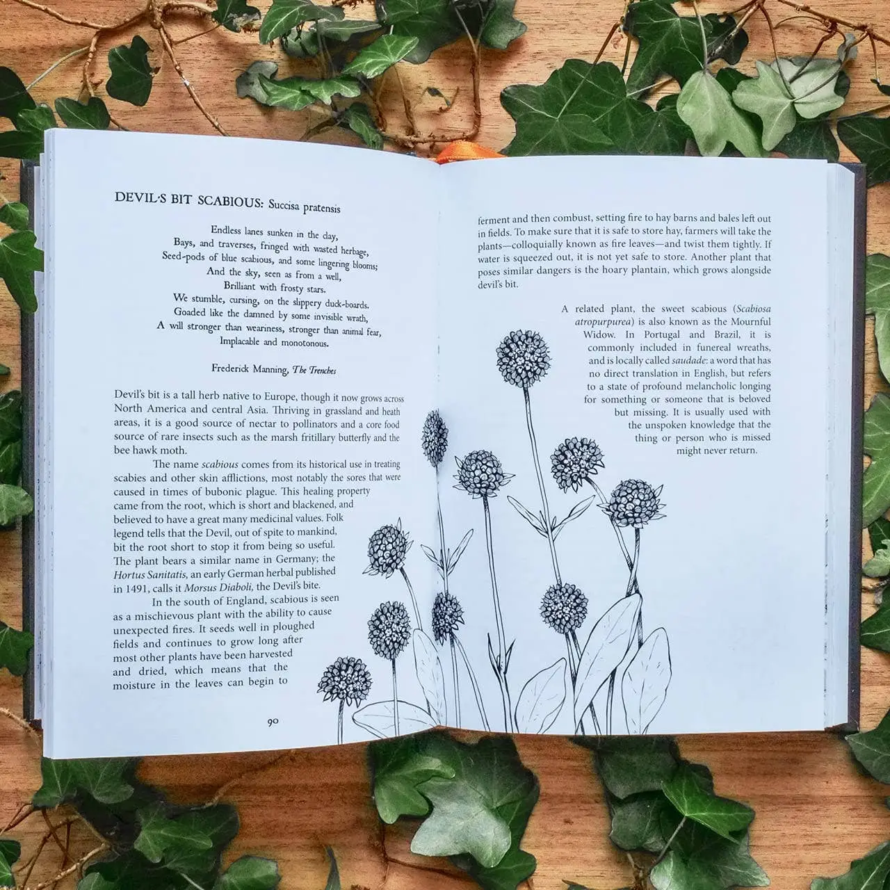 Botanical Curses and Poisons Book