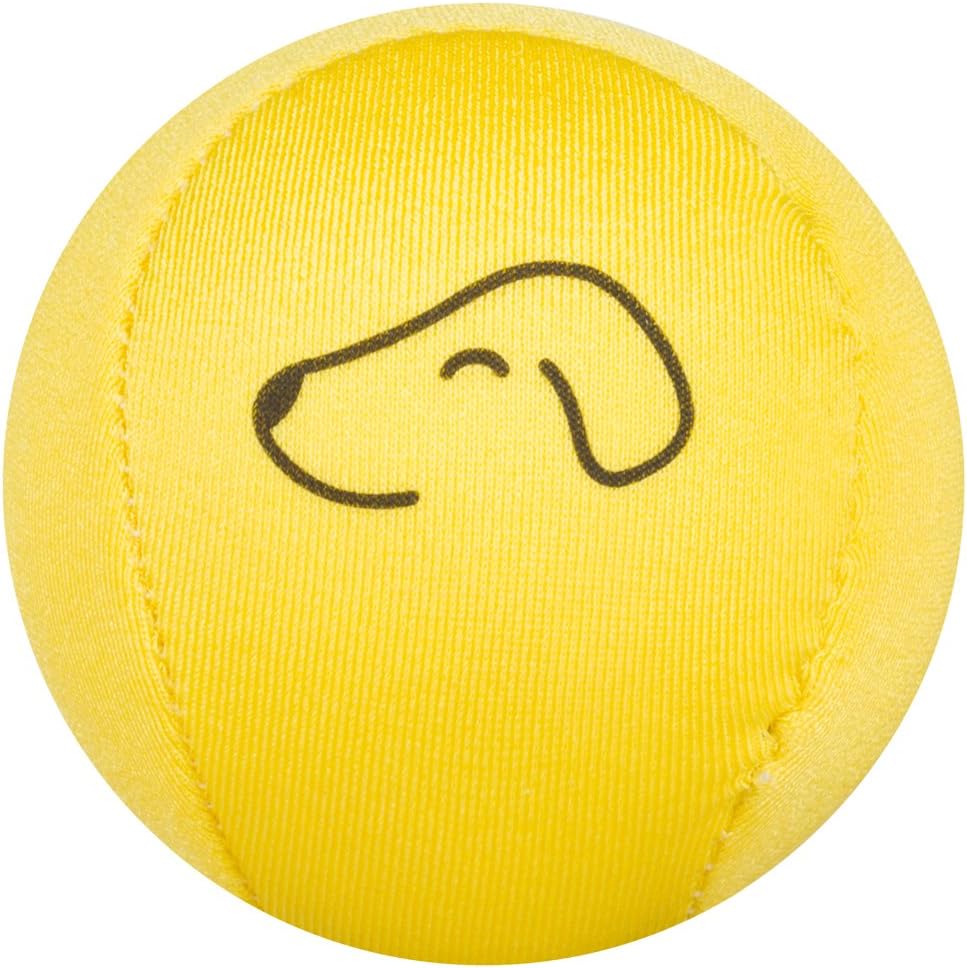 Fetch Dog Ball