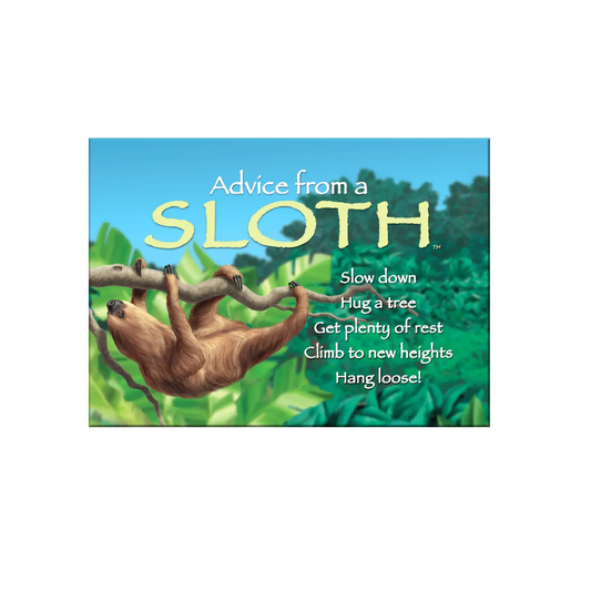 Magnet Advice from a Sloth