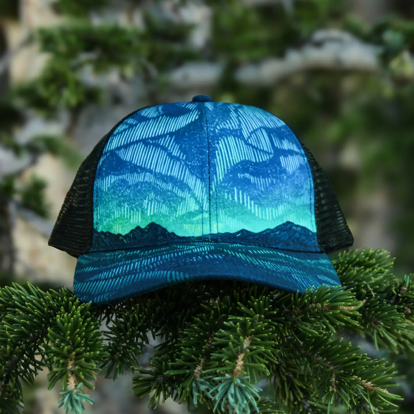 Northern Lights Trucker Hat