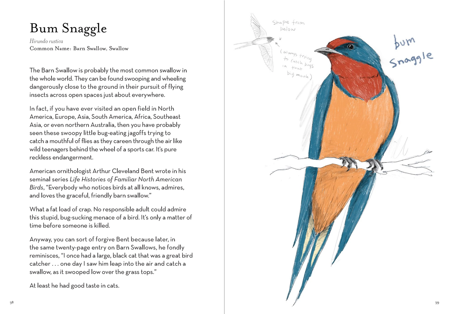 Dumb Birds Field Guide Book