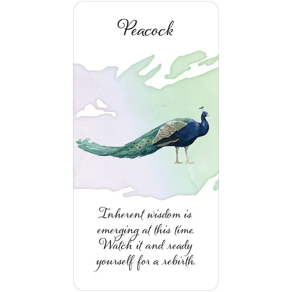 Divine Feather Messenger Cards