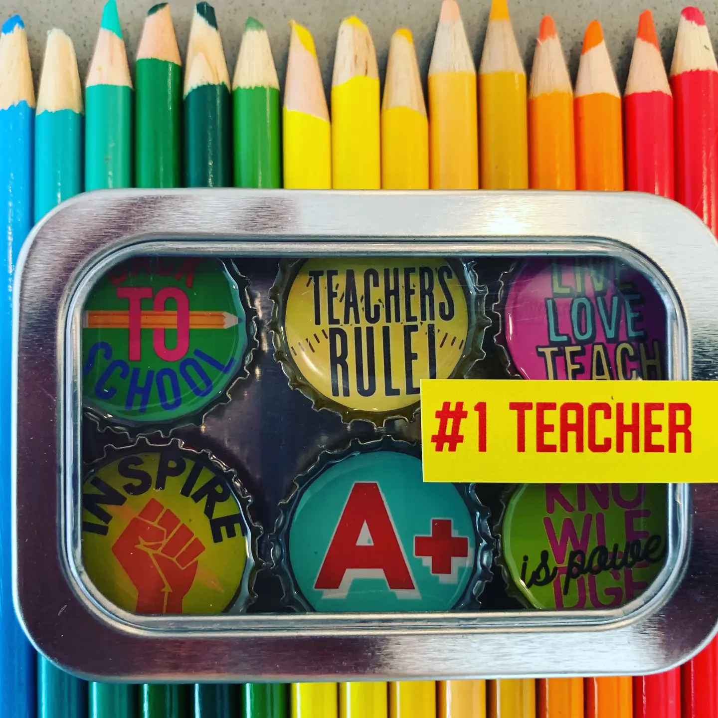 Teachers Magnets pack/6