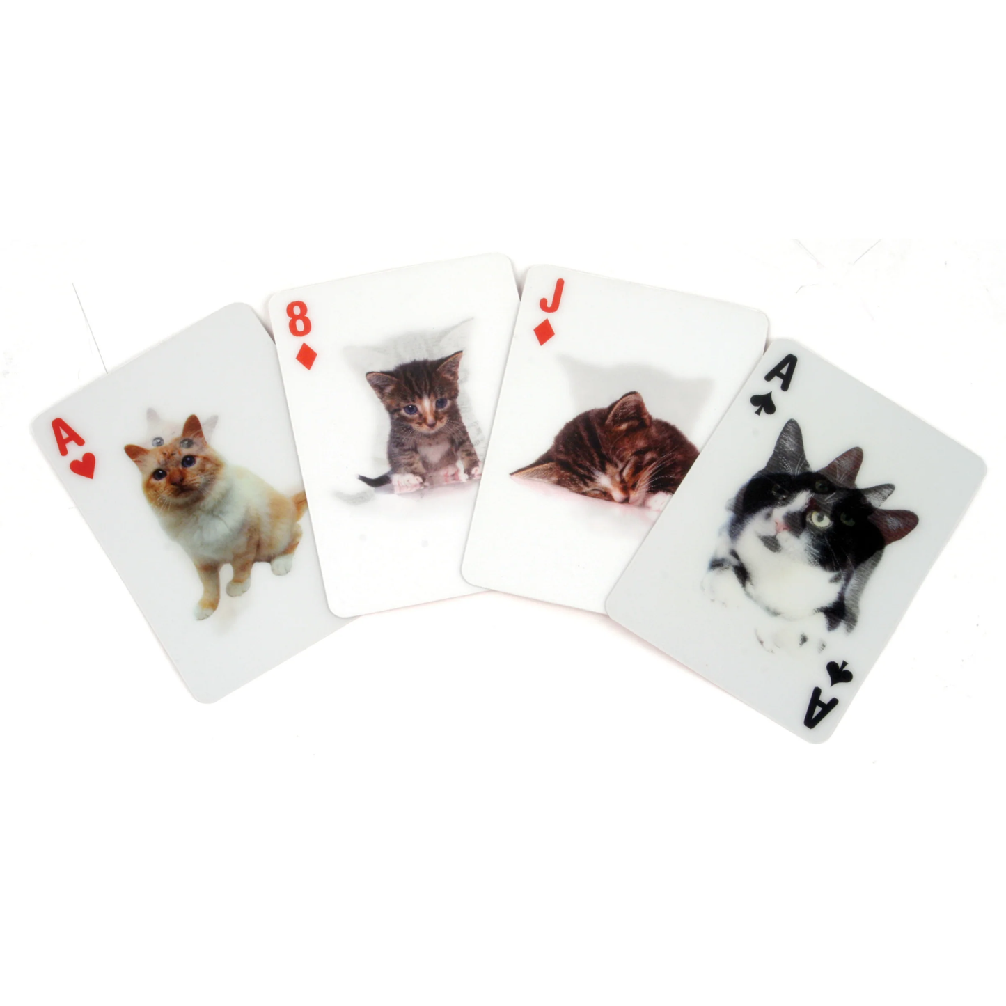 3D Playing Cards Cats