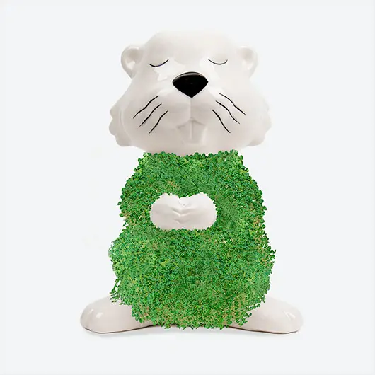 Hairy Beaver Planter