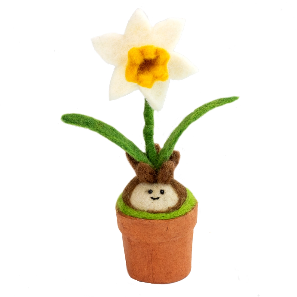 Daffodil Blossom Potted Plant