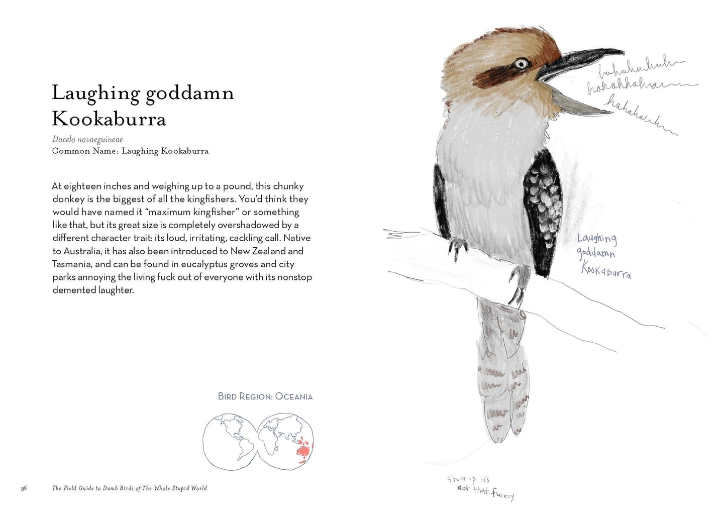 The Field Guide To Dumb Birds of the Whole World Book