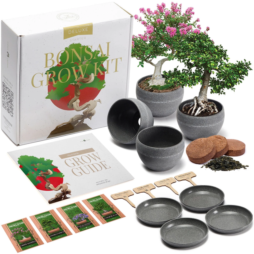 Deluxe Bonsai Grow Kit