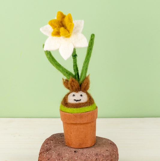 Daffodil Blossom Potted Plant