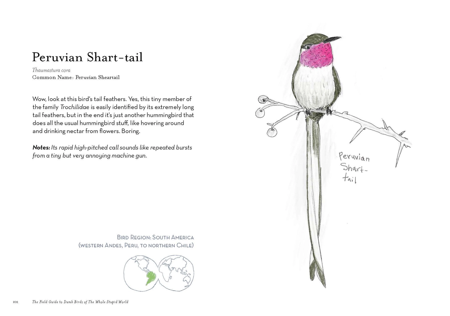 The Field Guide To Dumb Birds of the Whole World Book