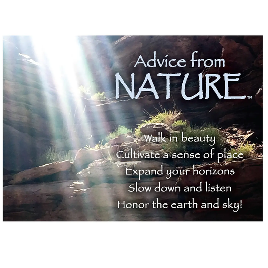 Magnet Advice from Nature