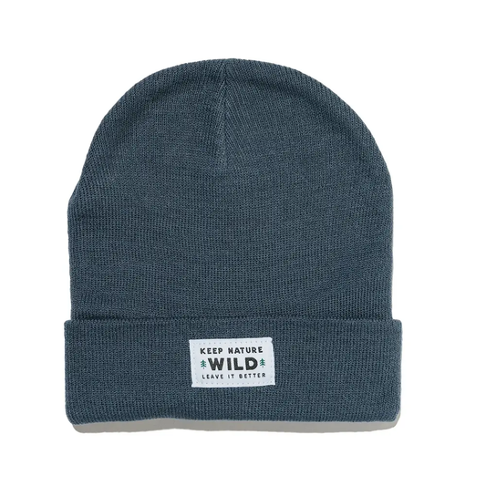 Twin Pines Cuffed Beanie -Slate