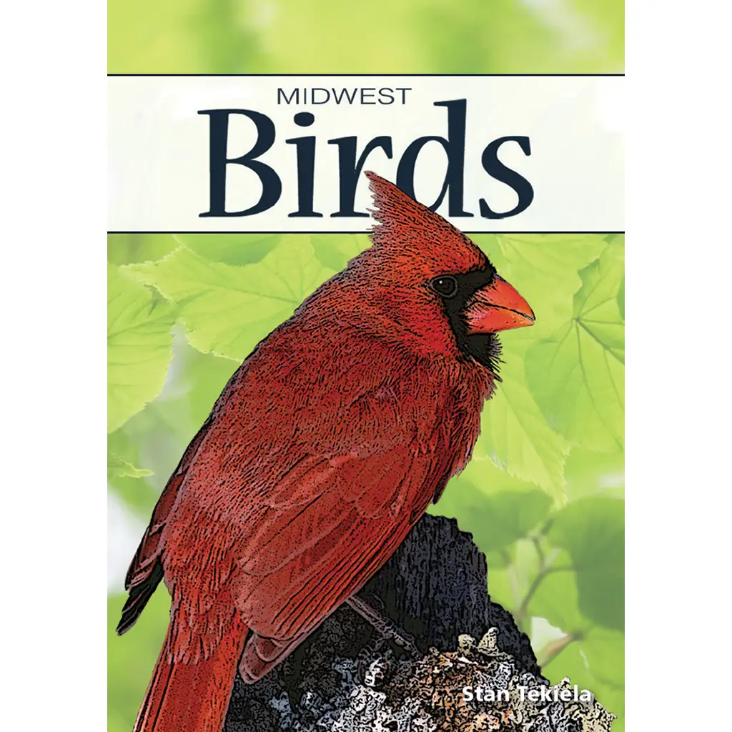 Birds of Midwest Playing Cards