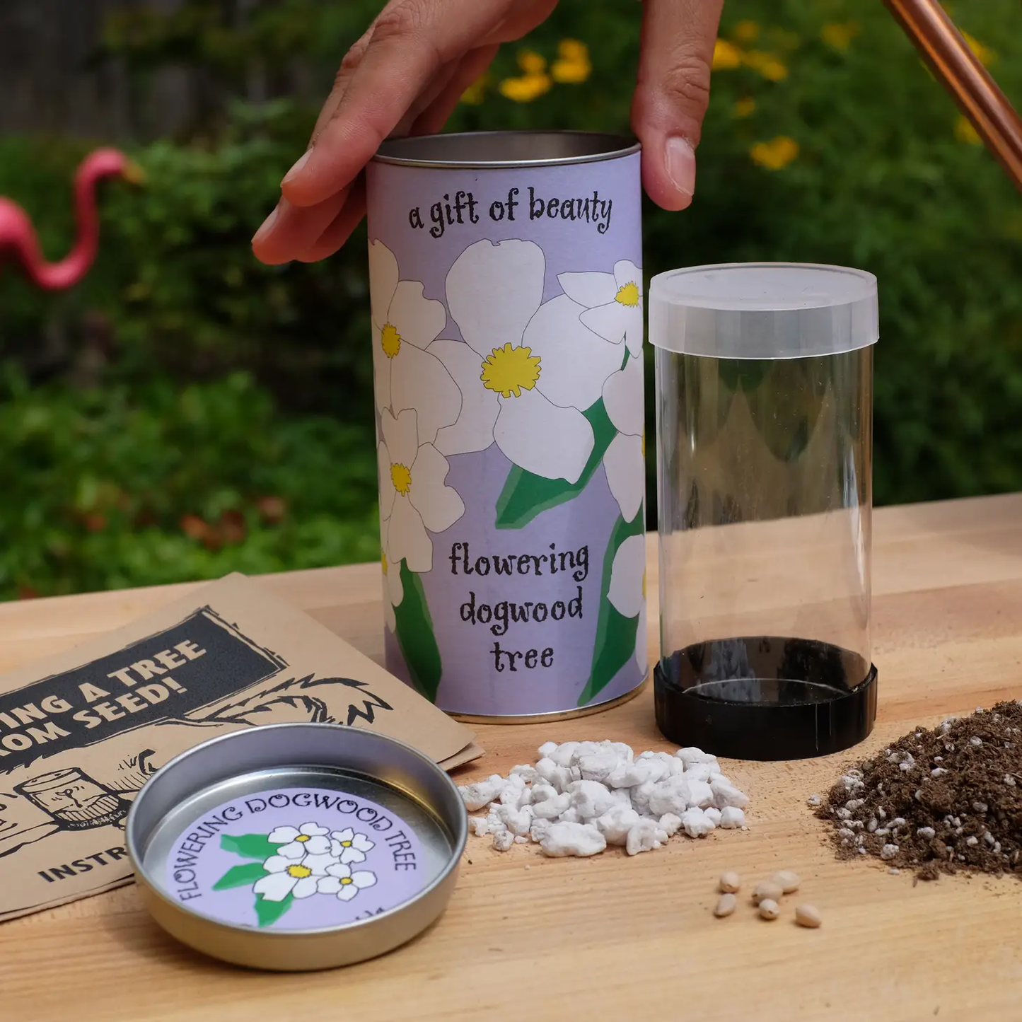 Flowering Dogwood Seed Grow Kit