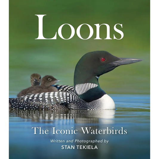 Loons: the Iconic Waterbirds Book