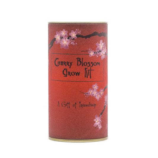 Japanese Cherry Seed Grow Kit