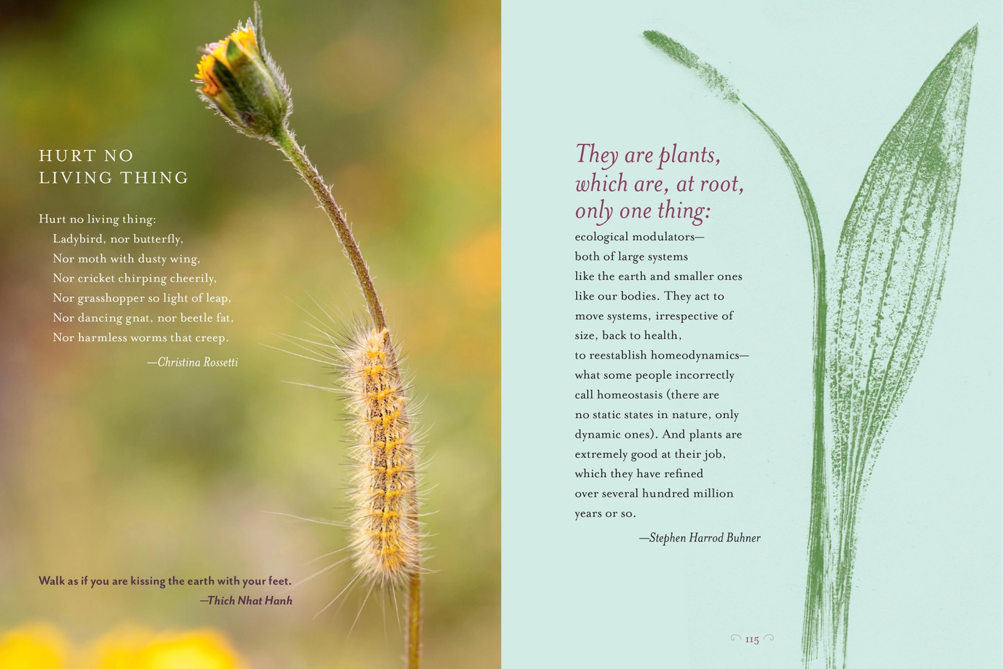 The Generosity of Plants Book