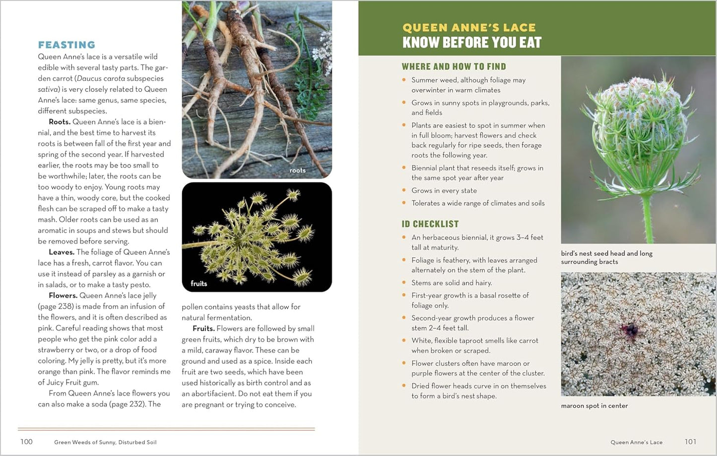 How To Forage For Wild Foods Without Dying Book