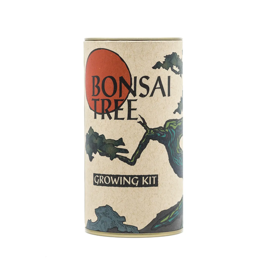 Bonsai Japanese Maple Grow Kit