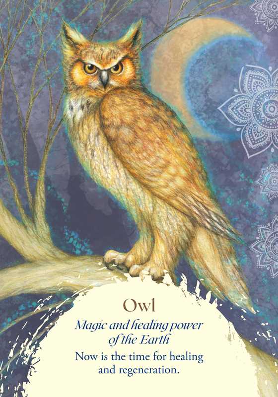 Oracle of the Birds