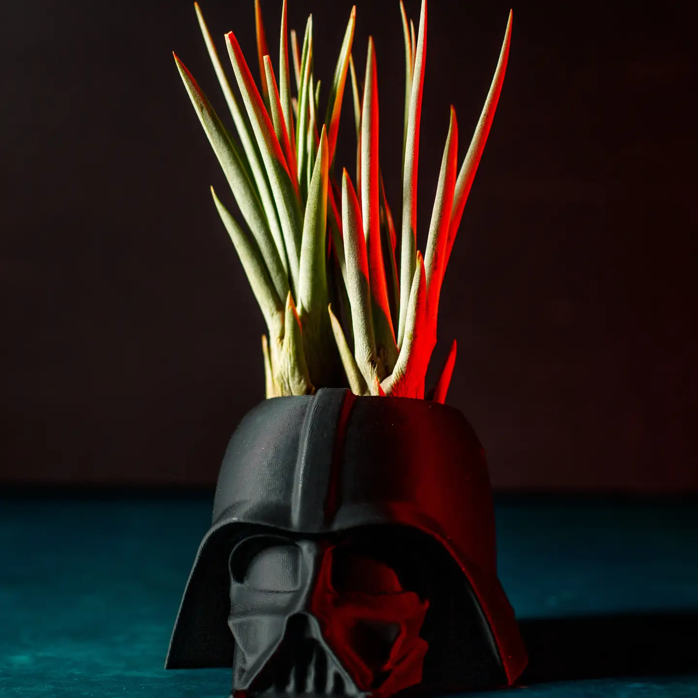 Darth Vader Planter