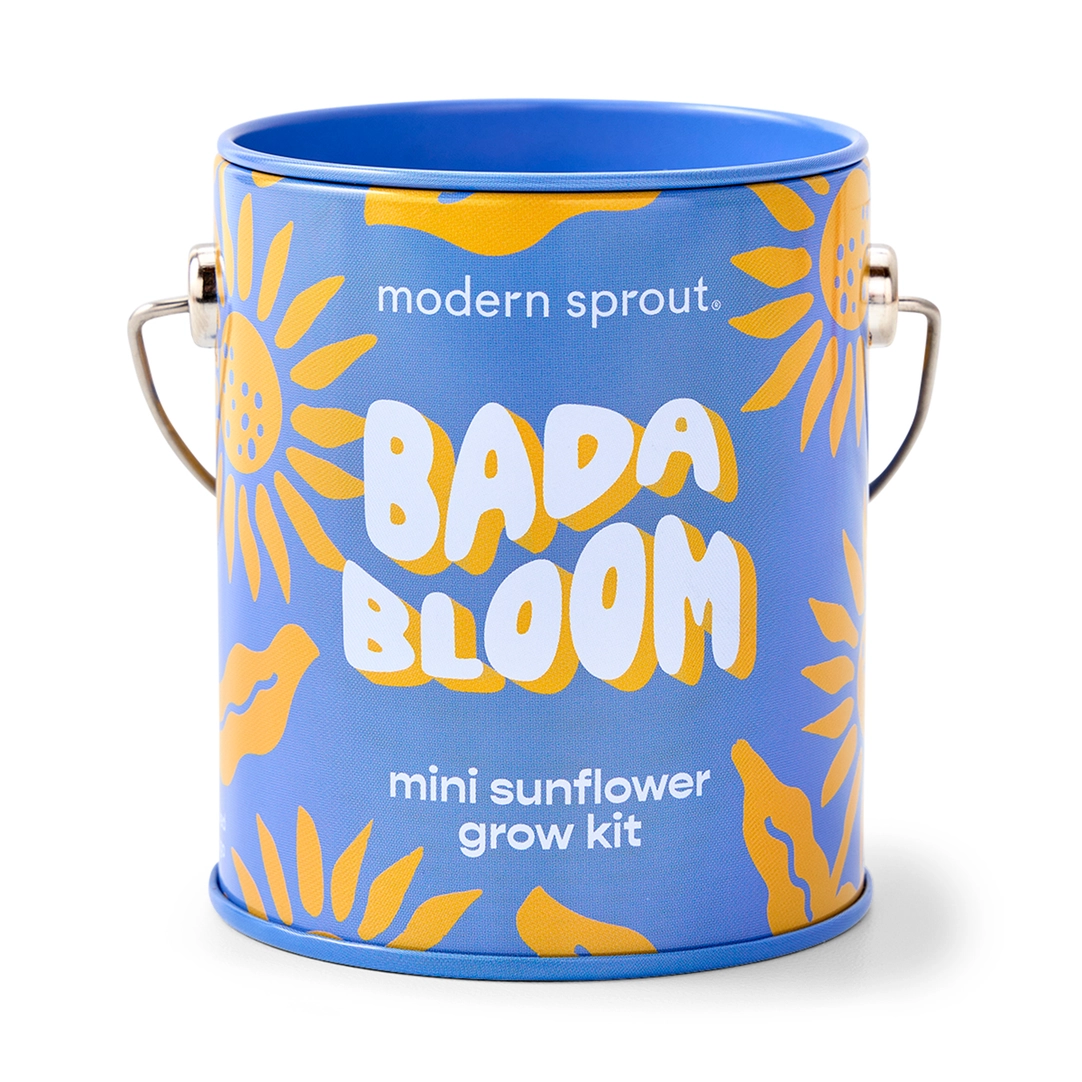 Color Grow Kit - Bada Bloom Mini Sunflower