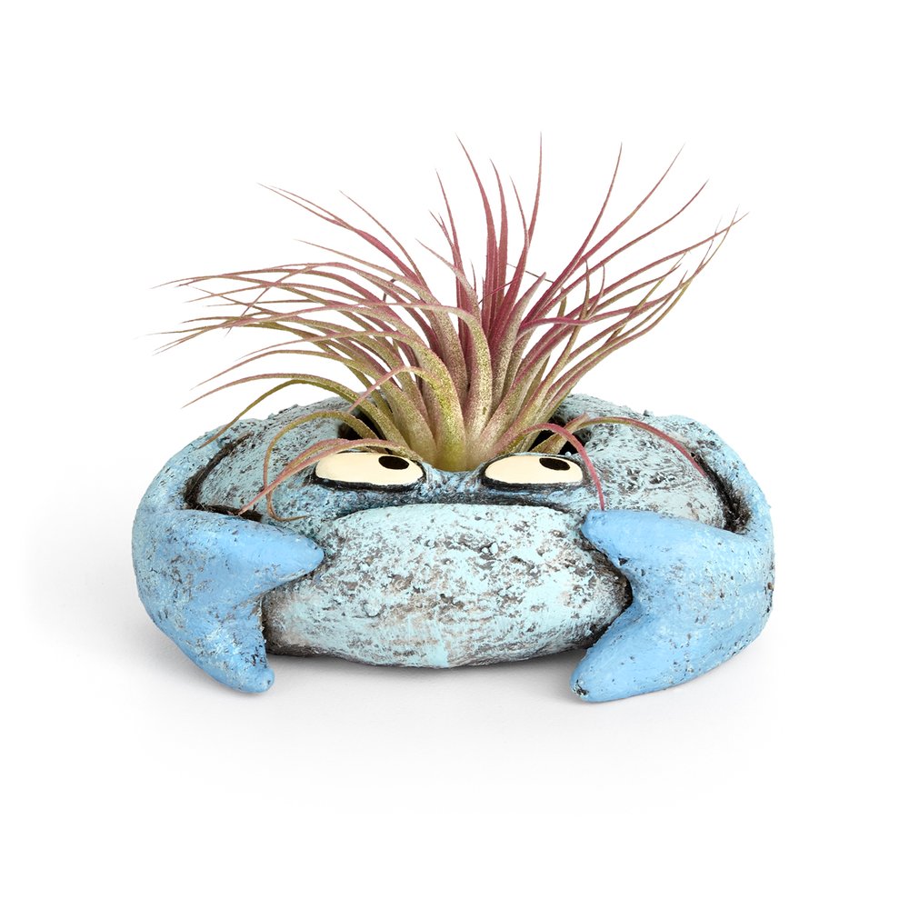 Krusty Crab Planter