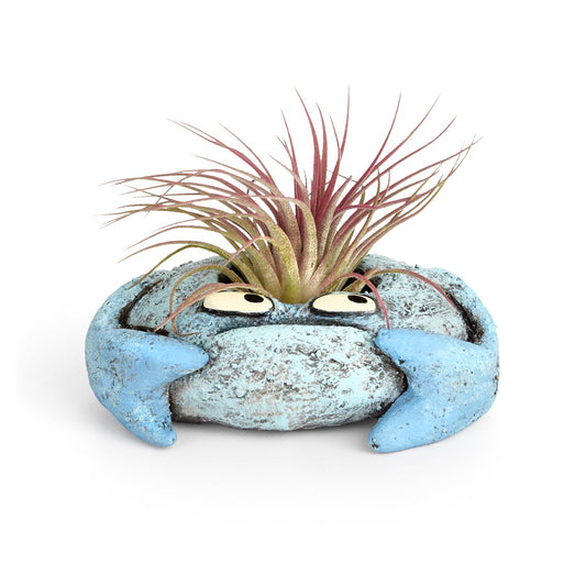 Krusty Crab Planter