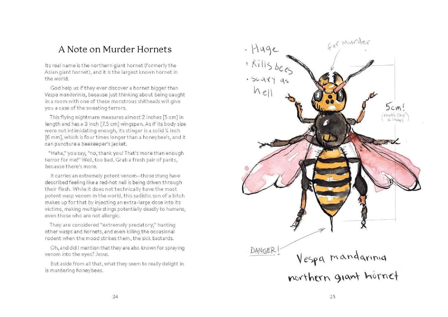 OMFG Bees Book
