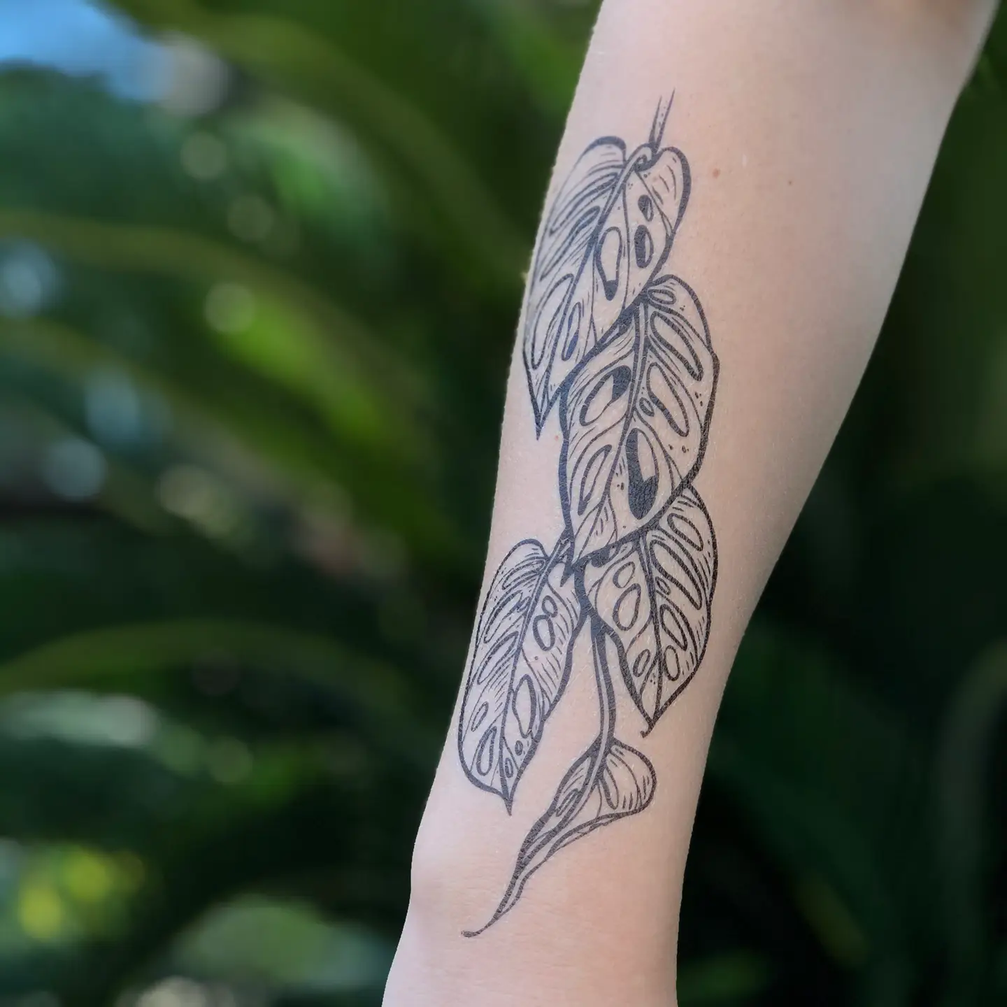 Monstera Vine Temporary Tattoo