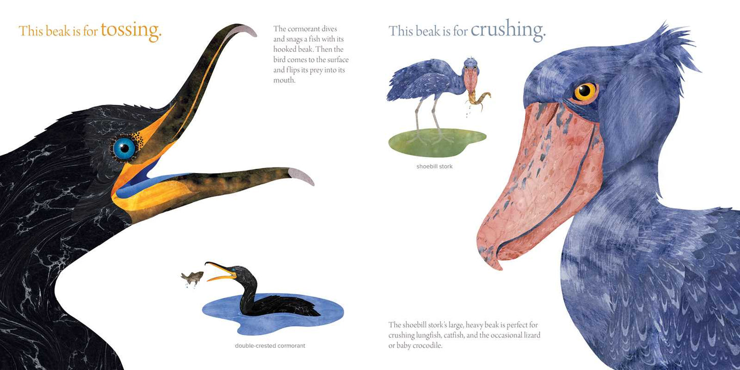 The Beak Book
