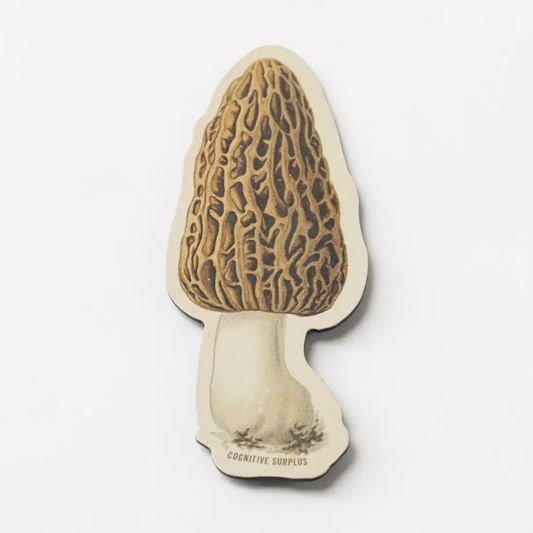 Morel Mushroom Magnet