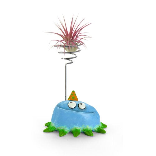 Fiesta Party Blob Air Plant Holder -Teal