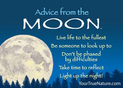 Magnet Advice from the Moon