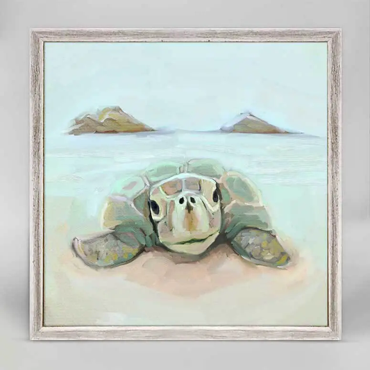 Mokulua Turtle Mini Canvas