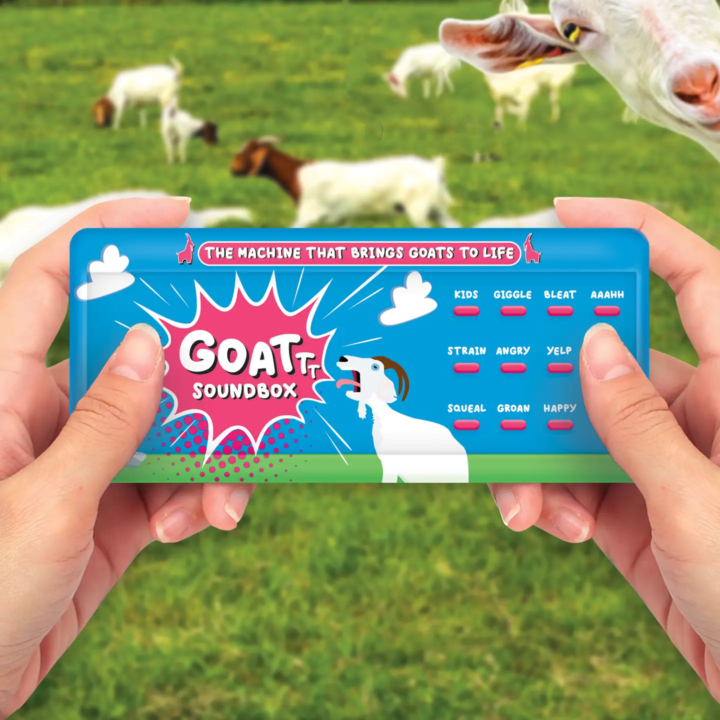 Goat Soundbox