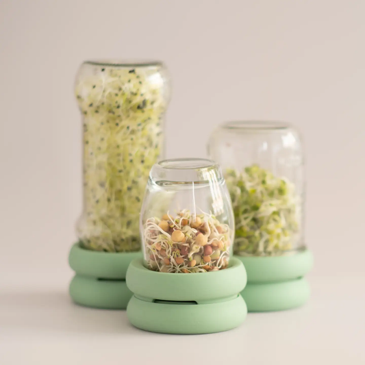 Reusable Silicone Sprouting Lids