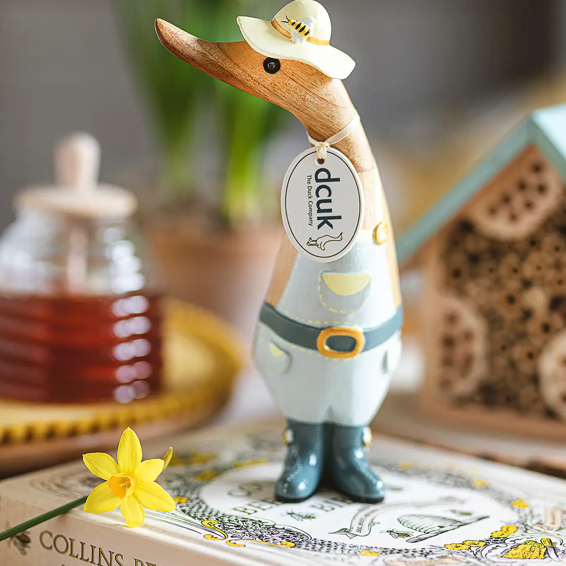 Duckling - Beekeeper