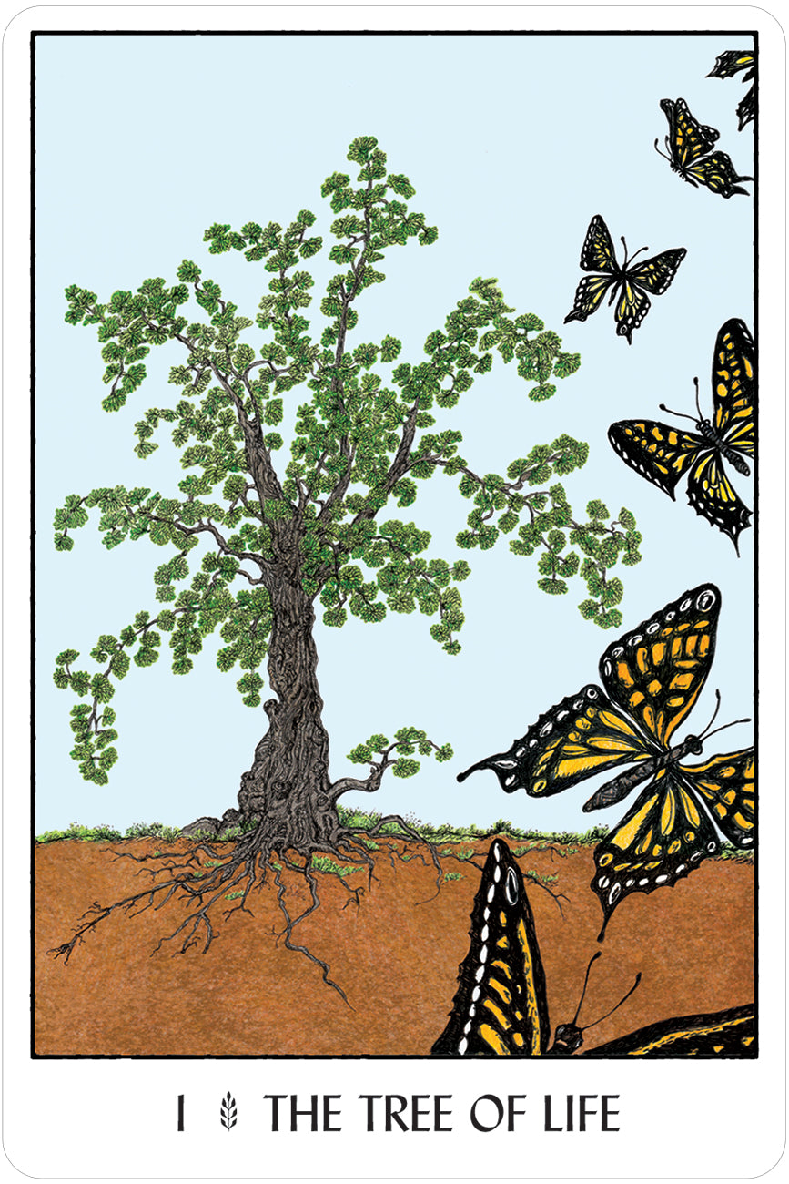 Oracle of the Trees Cards