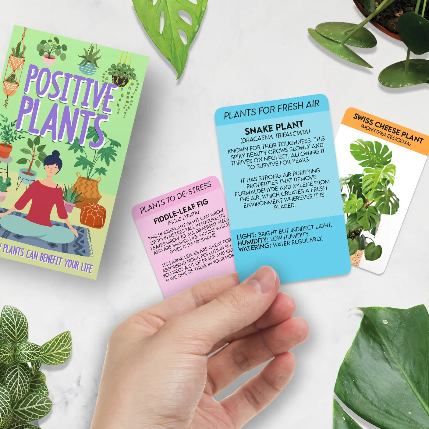 Positive Plants Cards