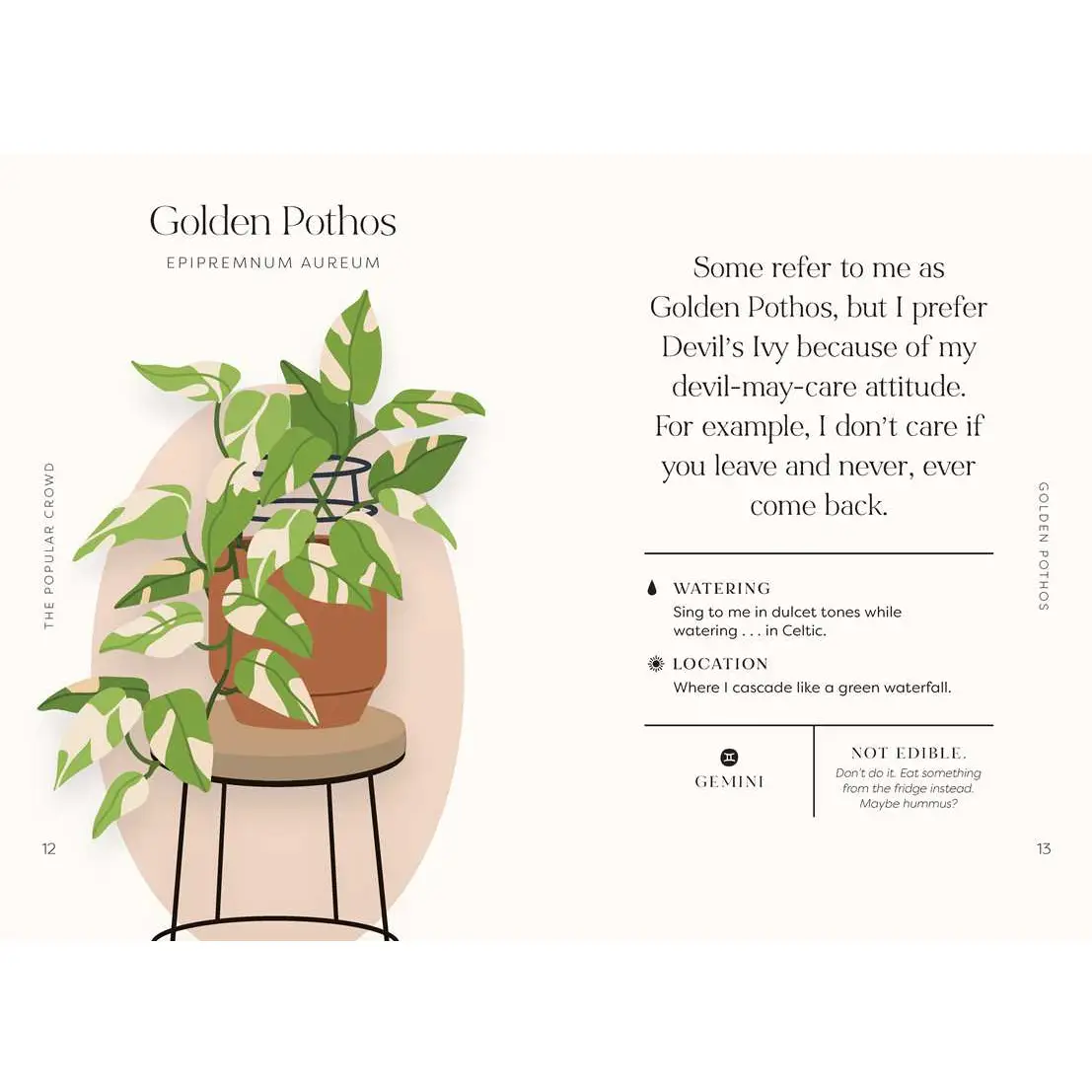 Houseplants and Their F*cked-Up Thoughts Book