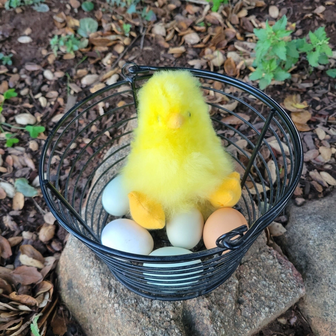 Alpaca Yellow Chick 5"