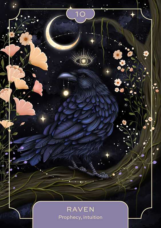 Animal Spirit Oracle Cards
