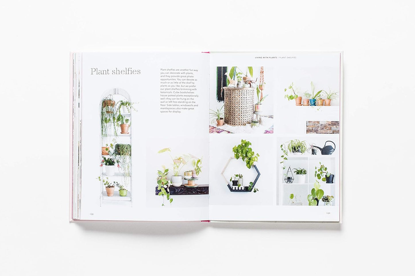 How To Raise A Plant Book