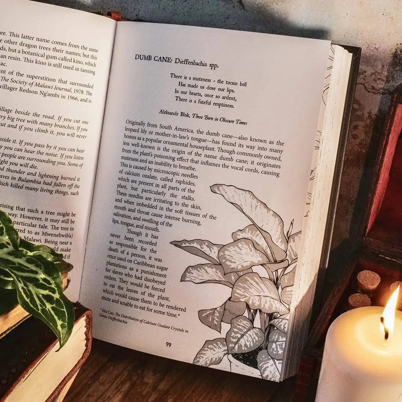 Botanical Curses and Poisons Book