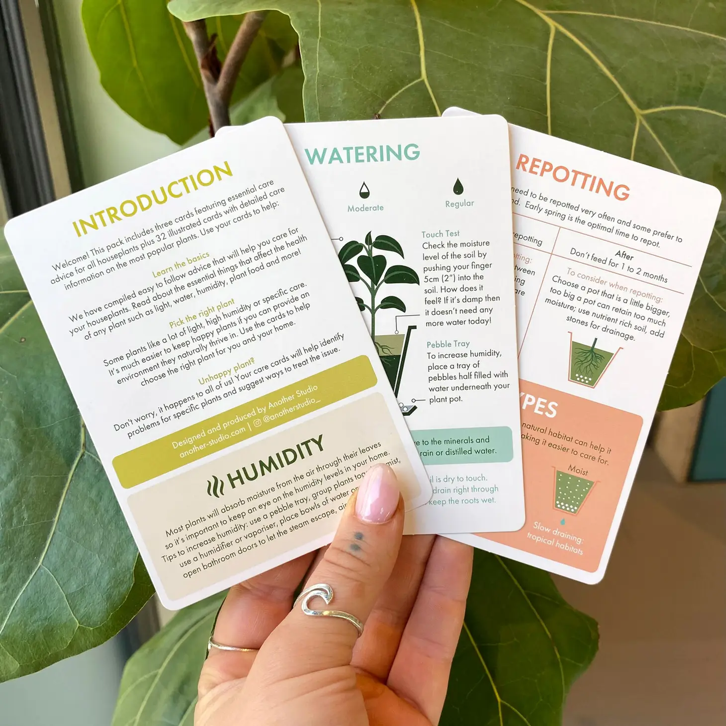 Houseplant Care Cards