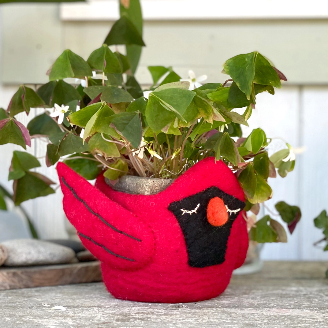 Cardinal Felt Planter