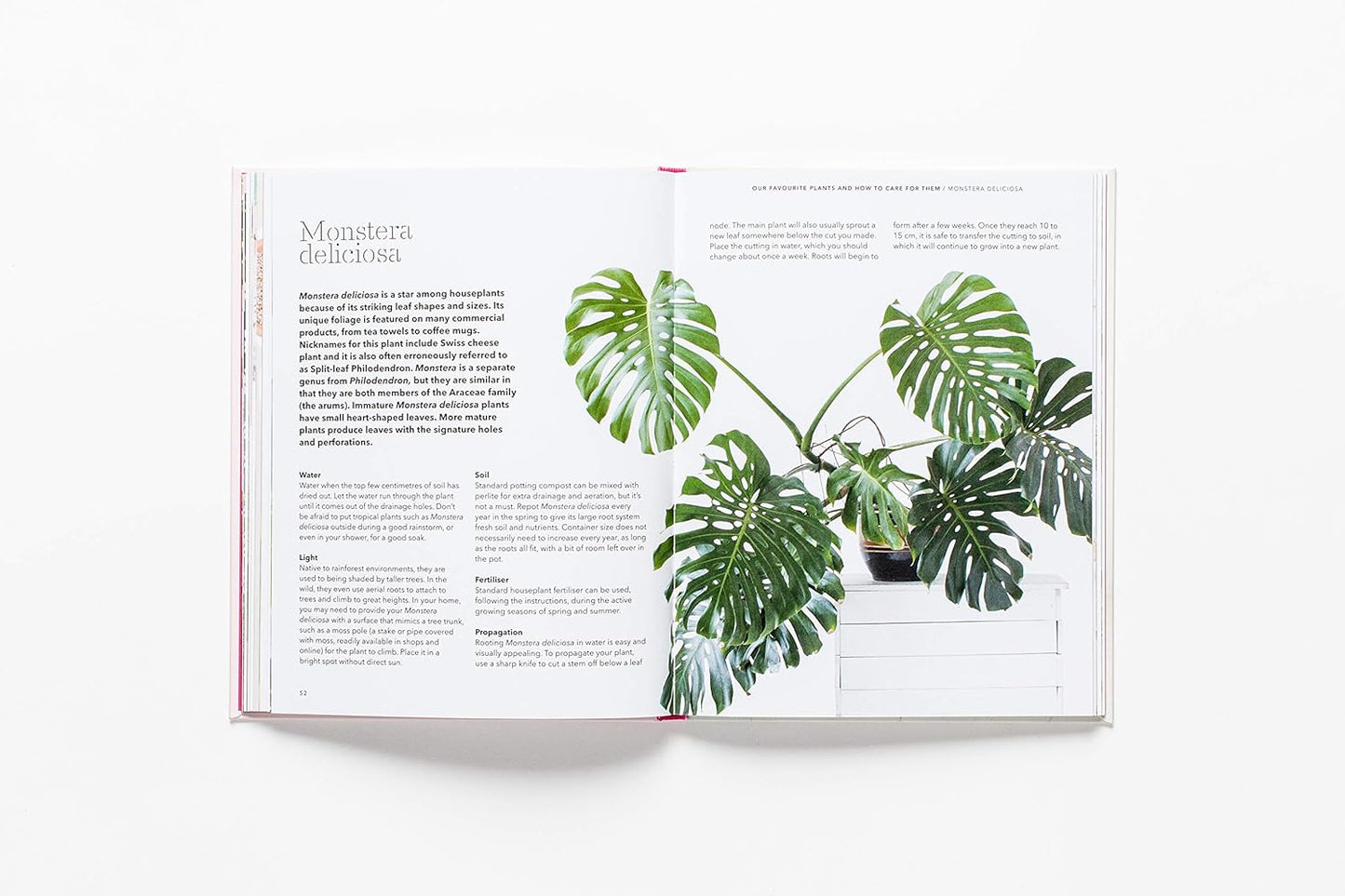 How To Raise A Plant Book